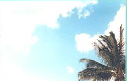 200101302.jpg