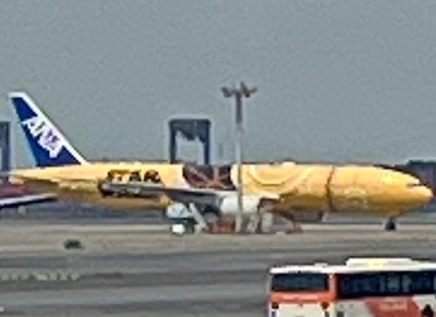 ANA-SW.jpg