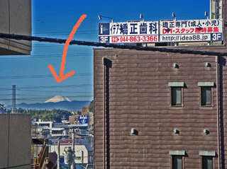 DSC07020.JPG