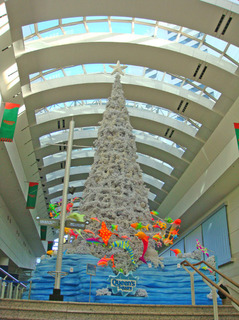 DSC07022.JPG