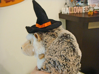 DSC07468.JPG