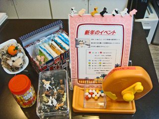DSC07844.JPG