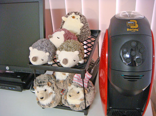DSC08210.JPG