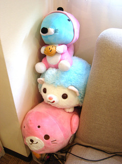 DSC08910.JPG