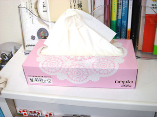 DSC08925.JPG