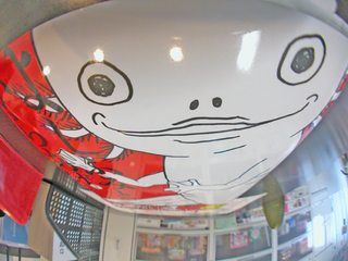 DSCN1136.JPG