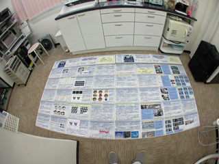 DSCN1142.JPG