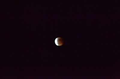 DSC_2114.JPG