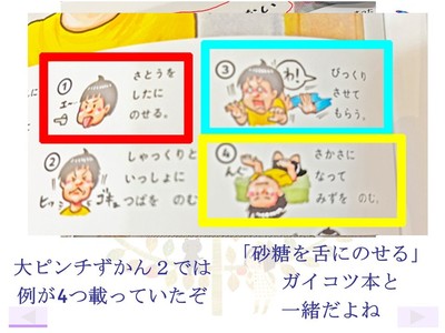 XCh12.JPG