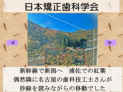 XCh40.JPG