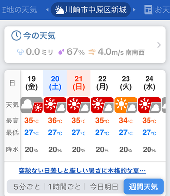IMG_2047.PNG