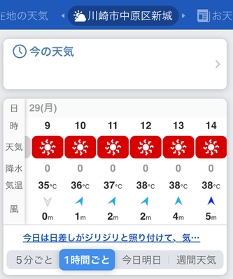 IMG_2128.PNG