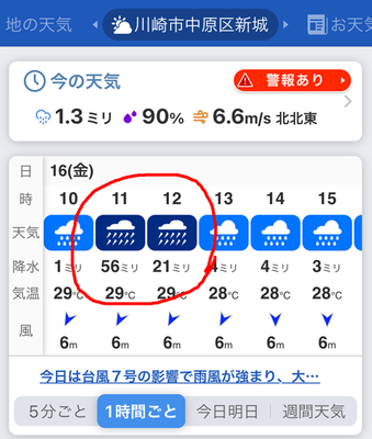 IMG_2304.PNG