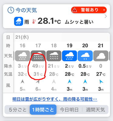 IMG_2335.PNG