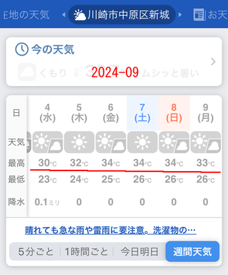 IMG_2587.PNG
