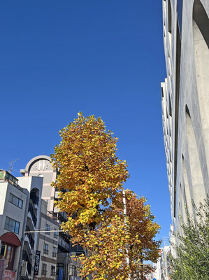 IMG_4462.JPG