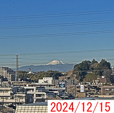 IMG_4702.JPG