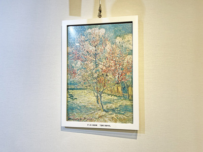 IMG_5637.JPG