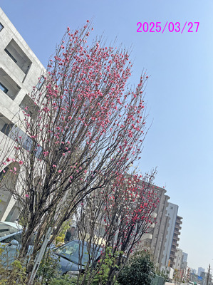 IMG_5686.JPG
