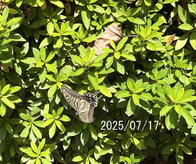 IMG_6361.JPG