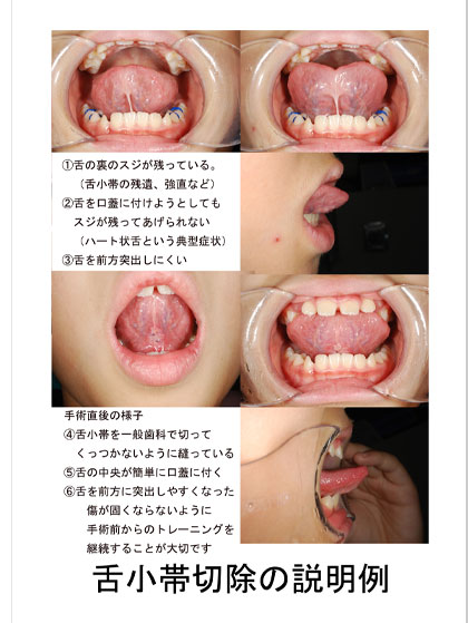 ���Â܂ł̗���